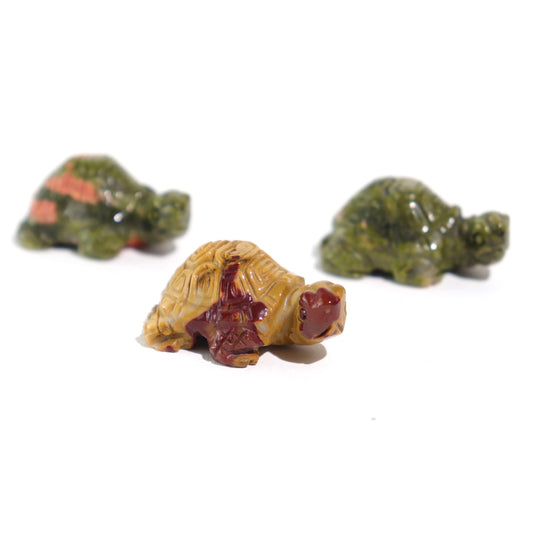 Mini Coin Turtles