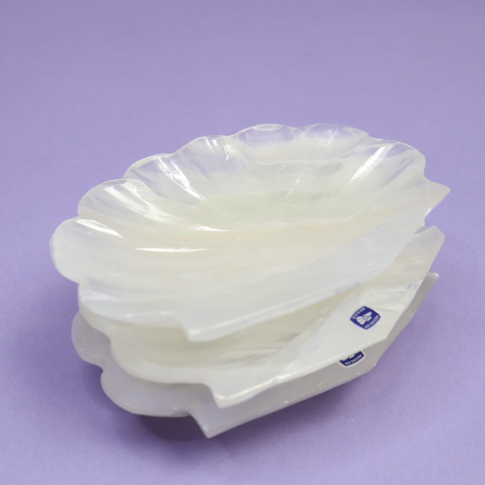 Onyx Seashell Bowl  - Crescents & Crystals