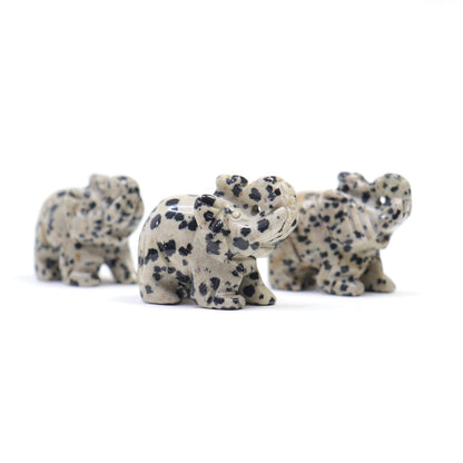 Elephants | 1.5”
