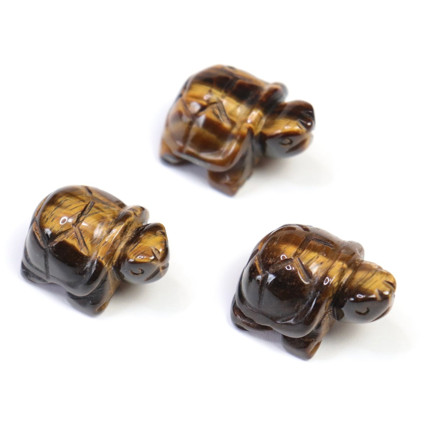 Turtles