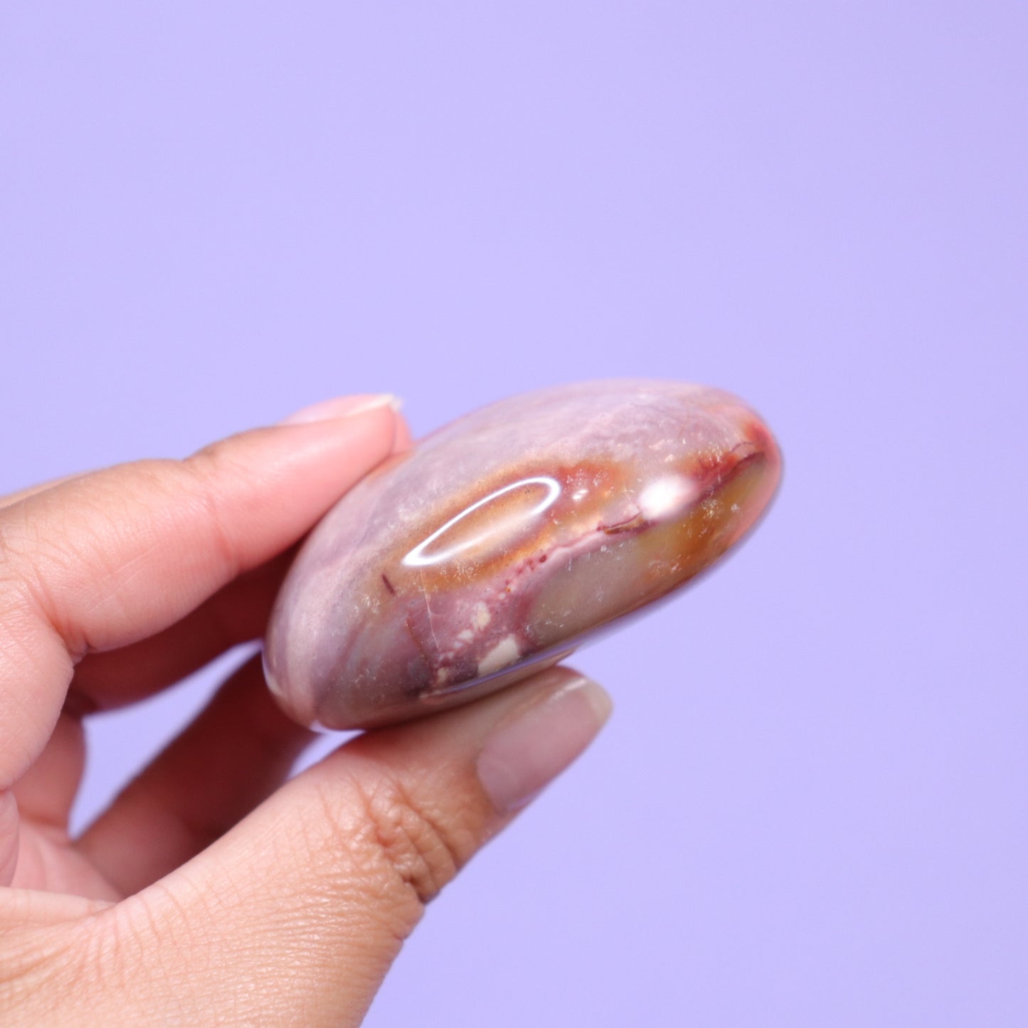 Polychrome Jasper Palm Stone [4]
