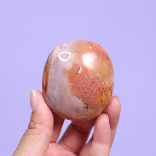 Polychrome Jasper Palm Stone [4]