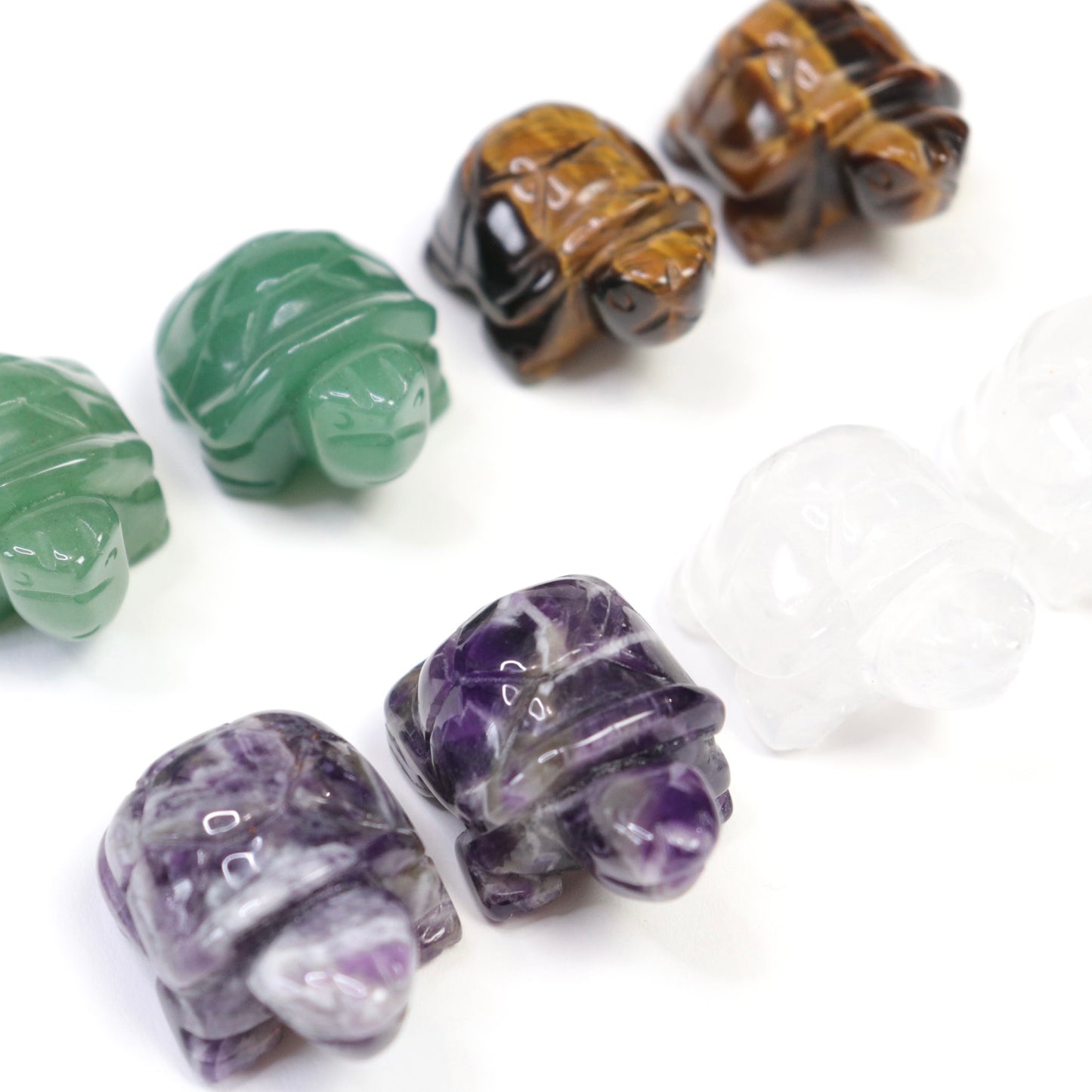 Turtles