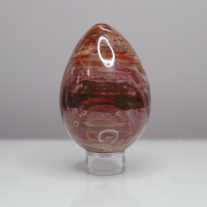 Petrified Wood Egg  - Crescents & Crystals