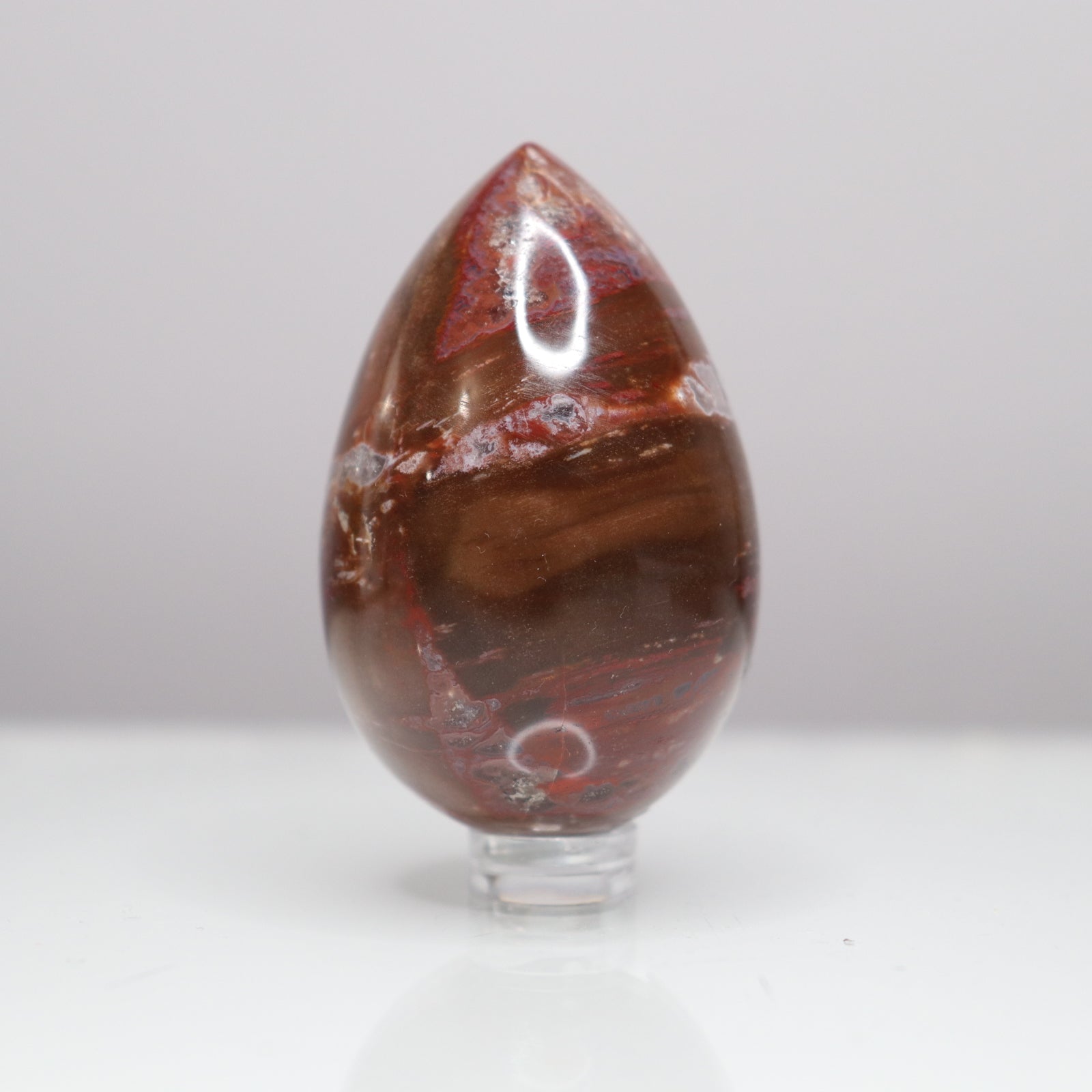 Petrified Wood Egg  - Crescents & Crystals