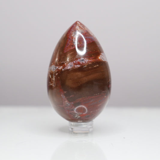 Petrified Wood Egg  - Crescents & Crystals