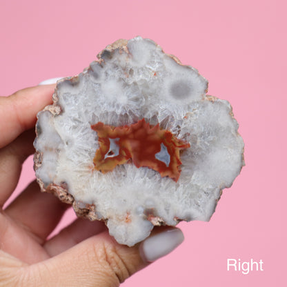 Geode Agate Pair | 3