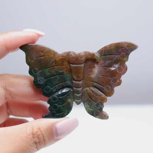 Sea Jasper Butterfly [5]