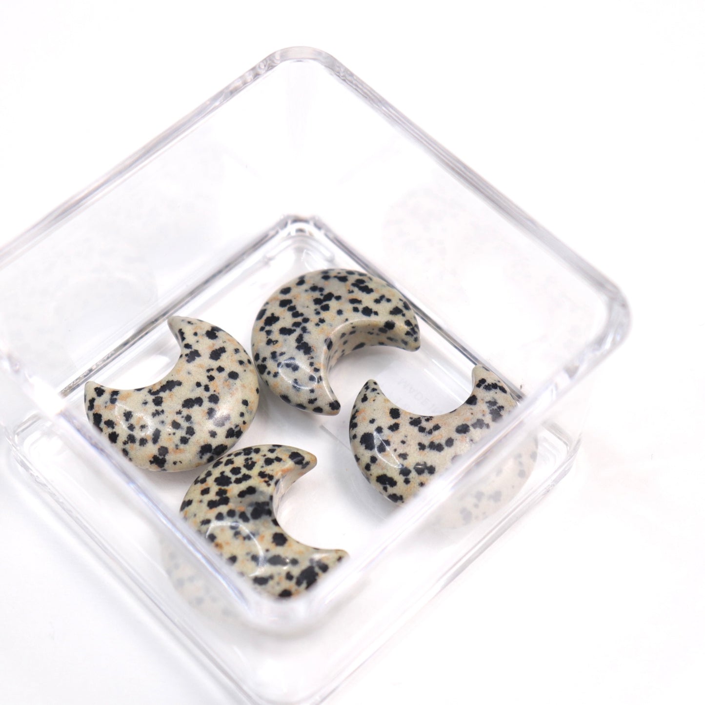 Dalmatian Jasper Mini Moons