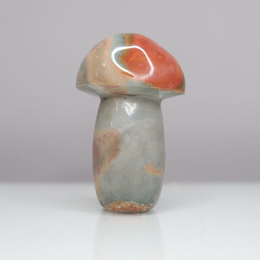 Polychrome Mushroom | 4