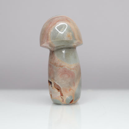 Polychrome Mushroom | 4