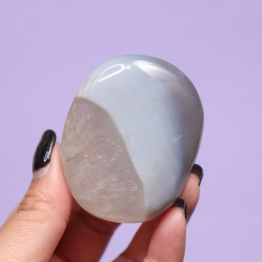 Agate Palm Stone w/Quartz [1]
