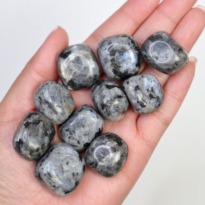 Larvakite Tumbles - Crescents & Crystals