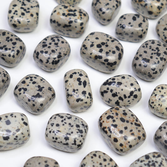 Dalmation Jasper Tumbles- Crescents & Crystals