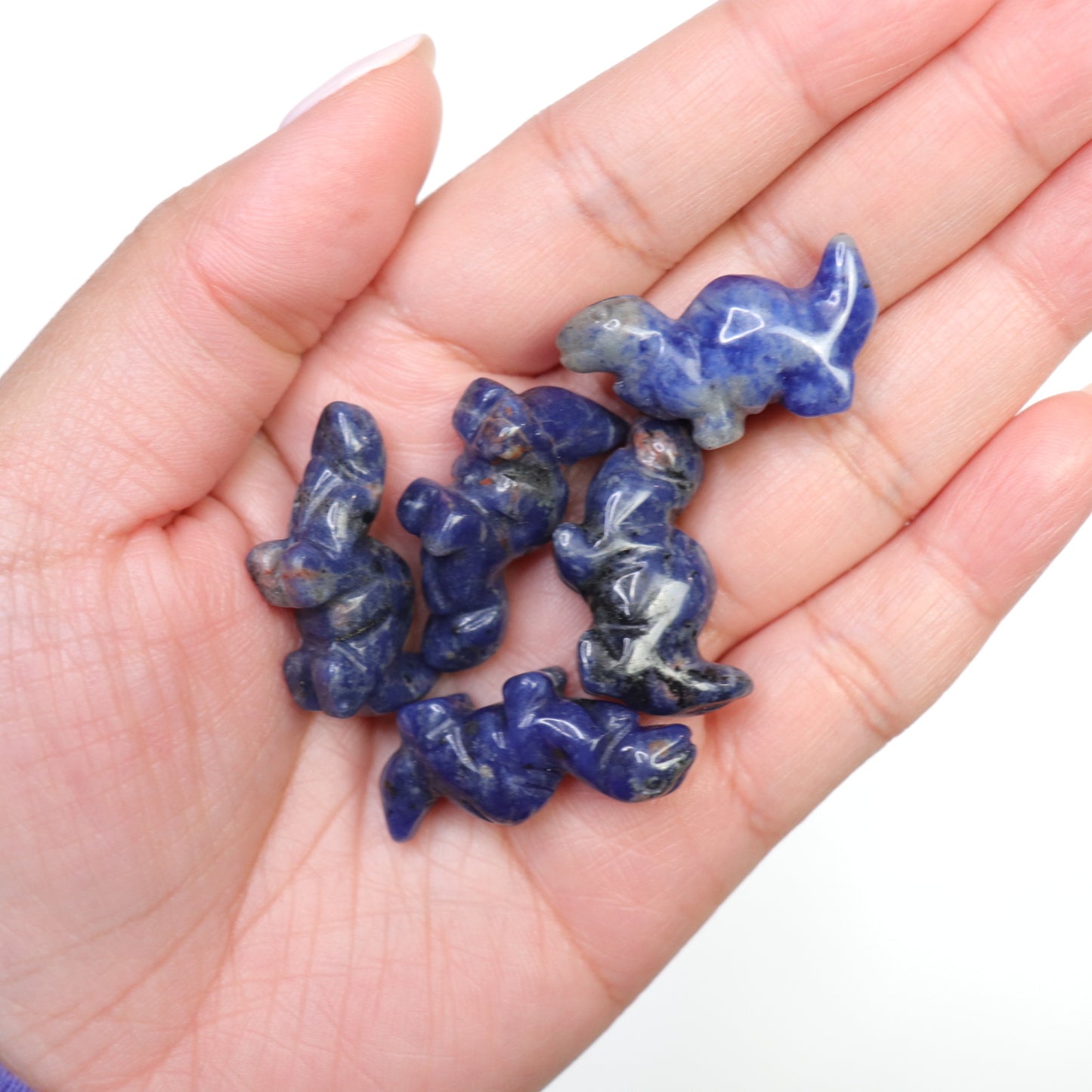 Blue Sodalite - Crescents & Crystals