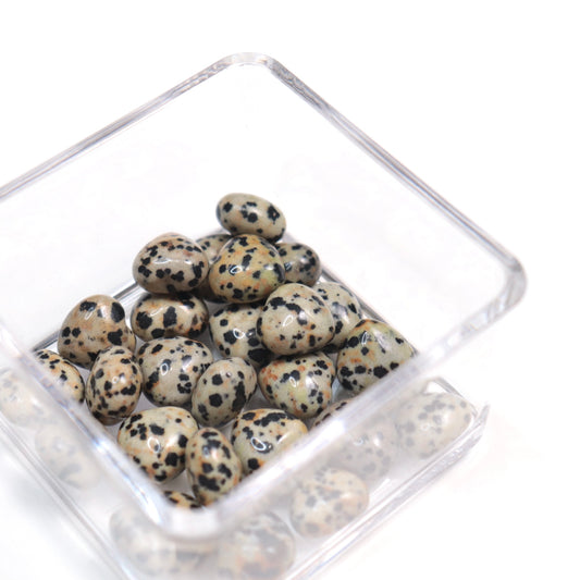 Dalmatian Jasper Mini Hearts (Set of 3)