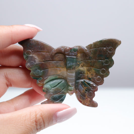 Sea Jasper Butterfly [4]