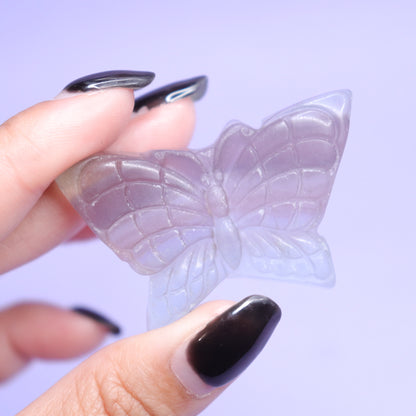 Fluorite Butterfly [3]