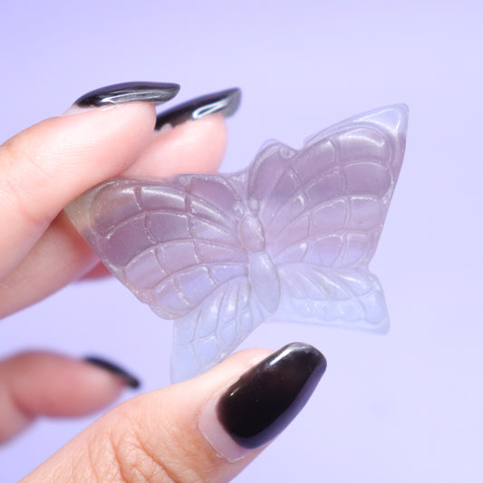 Fluorite Butterfly [3]