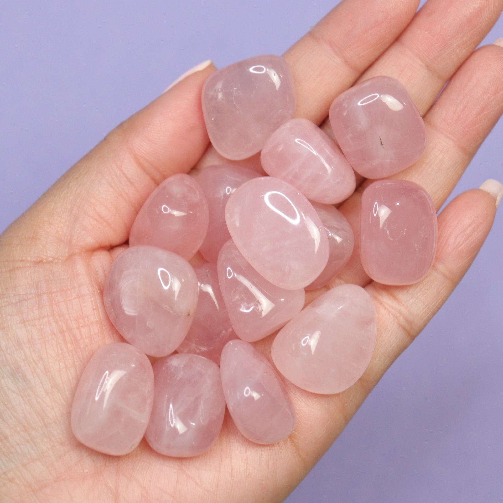 Rose Quartz Tumbles - Crescents & Crystals