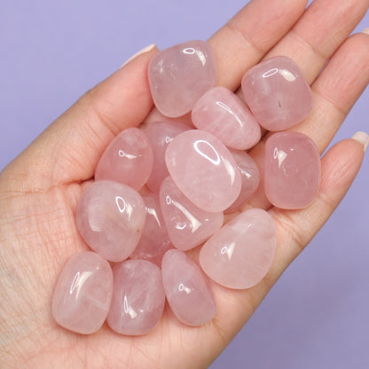 Rose Quartz Tumbles - Crescents & Crystals