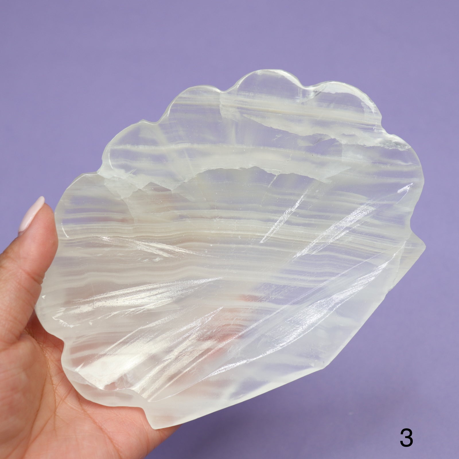 Onyx Seashell Bowl  - Crescents & Crystals