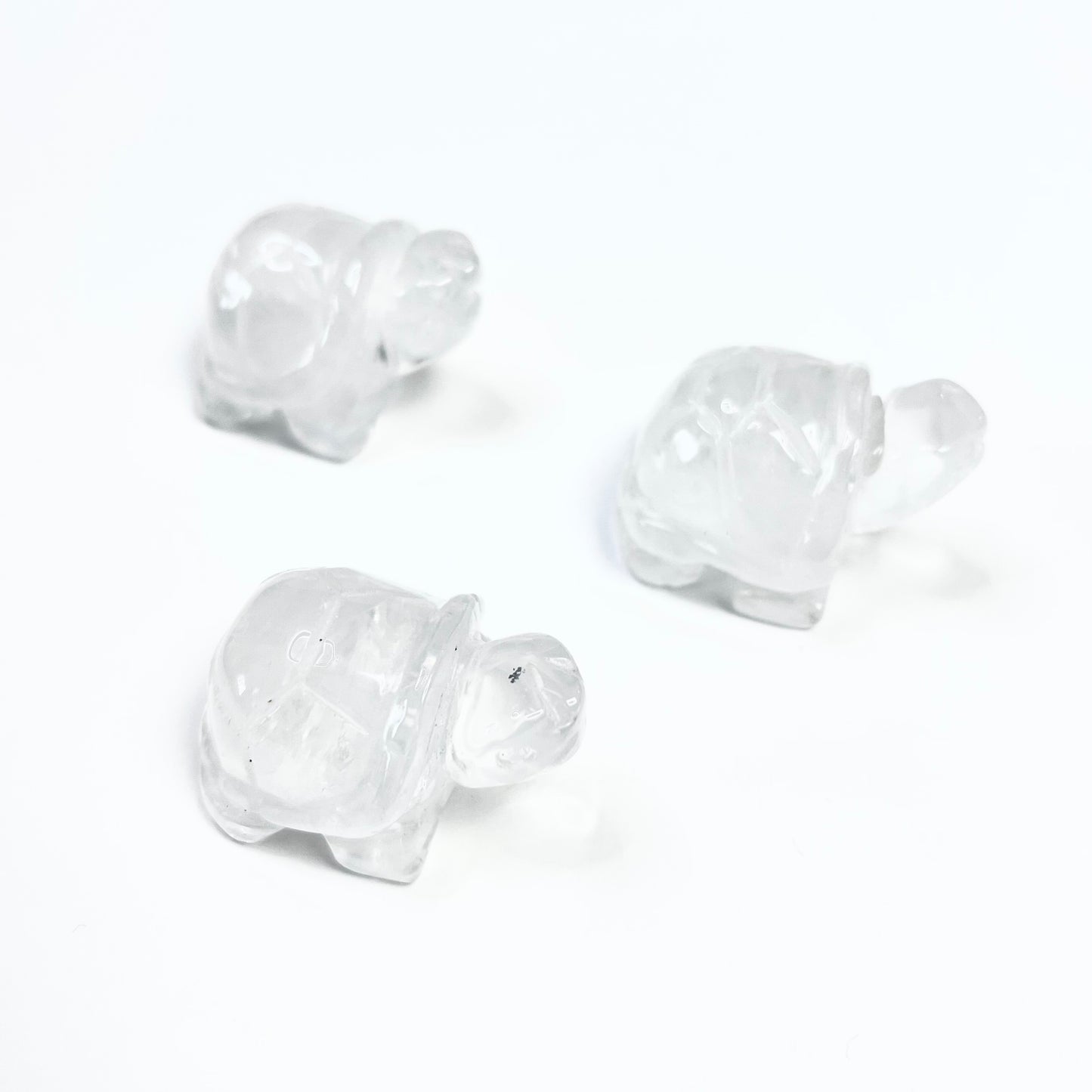 Turtles