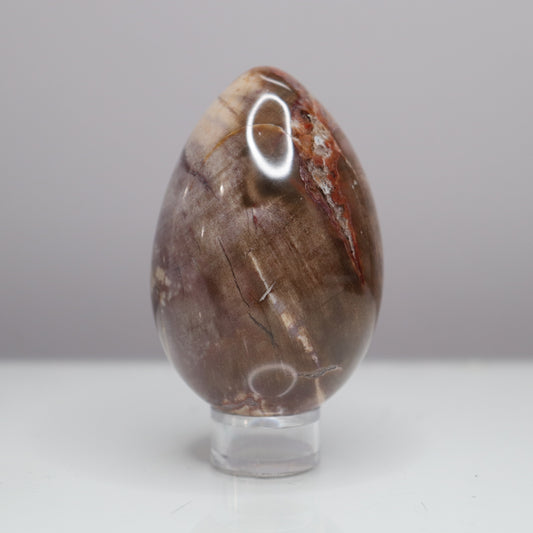 Petrified Wood Egg  - Crescents & Crystals