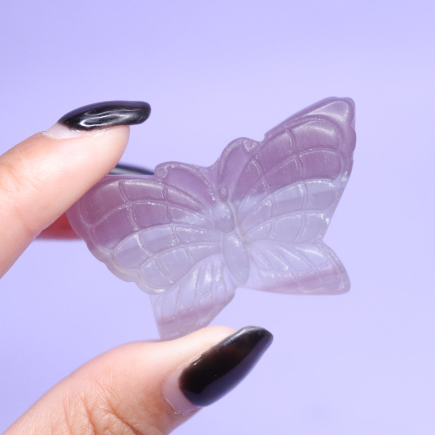 Fluorite Butterfly [1]