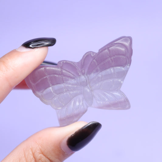 Fluorite Butterfly [1]